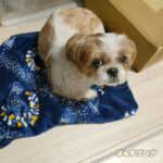 たま～に来たくなる場所