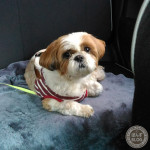 買い物しないの～？