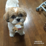 思いがけず、ベストショット！