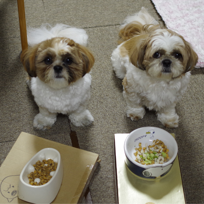 遊びながらだと、食べるぽんず