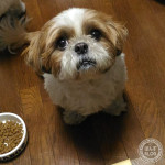 やる気スイッチ