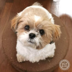 ぬくぬくもふもふ、今年見納め。