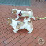 肩をならべて…！