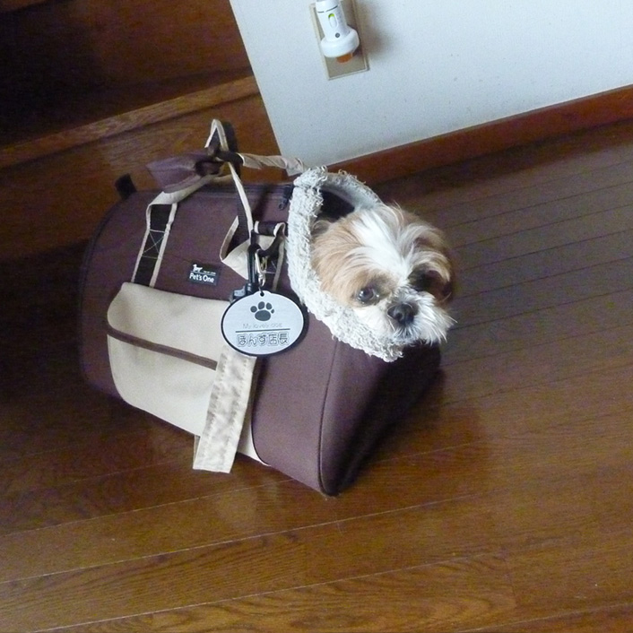 ぽんず交配記（３）：フラッキング？