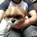 こわいかぼ、こわいかぼ。