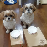 どうしておなかが、減るのかな？