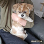 つかず、離れず