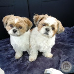 高確率のなぞ。