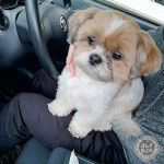 なんでも楽しそうな、かぼす。