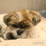 寝癖でくしゃくしゃ！笑