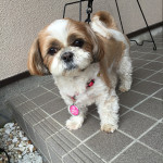 お尻大好き、くっつき虫