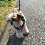 女心と春の空？