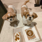 ぽんず母さんの日