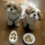 食いつきはどうかな？