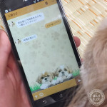 LINE着せかえ販売開始！