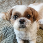 皮膚炎、チェック！