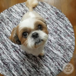 まあるいところ。