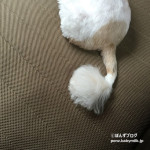 ライオンしっぽ