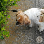 なにかいるの～？