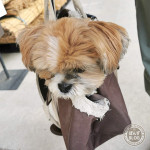 かぼす、病院です。