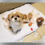 ままと、まったり。