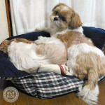 寒くても、寒くなくても。