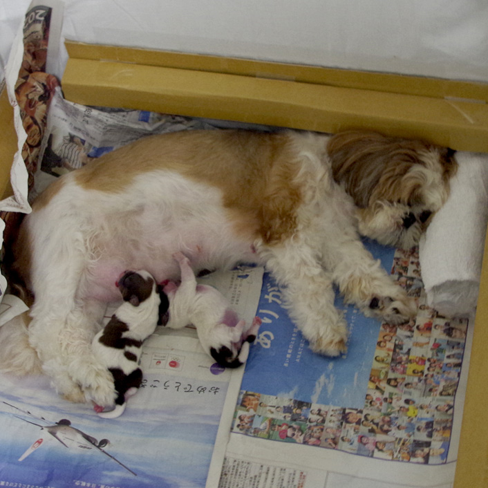 ３日目：飲める子、飲めない子・・・。