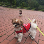 とっても元気な、おもしろ親子。