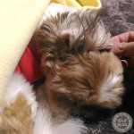 耳にやさしい季節？