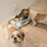 みんなでカメラ目線チャレンジ