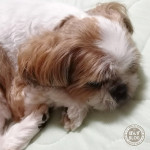 見つめあって。