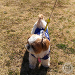 茂原公園、嬉しそうです。