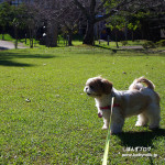 広がる青空ぽんずよ！