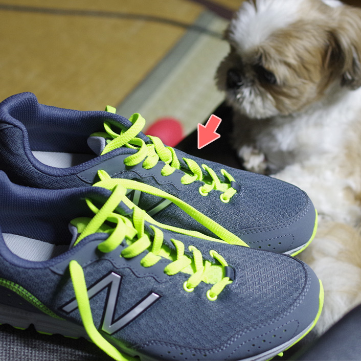 それ、恐いの？？