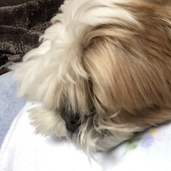 すぐに、乗ってくる