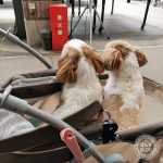 観察する親子。