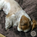 気持ち、つながる？