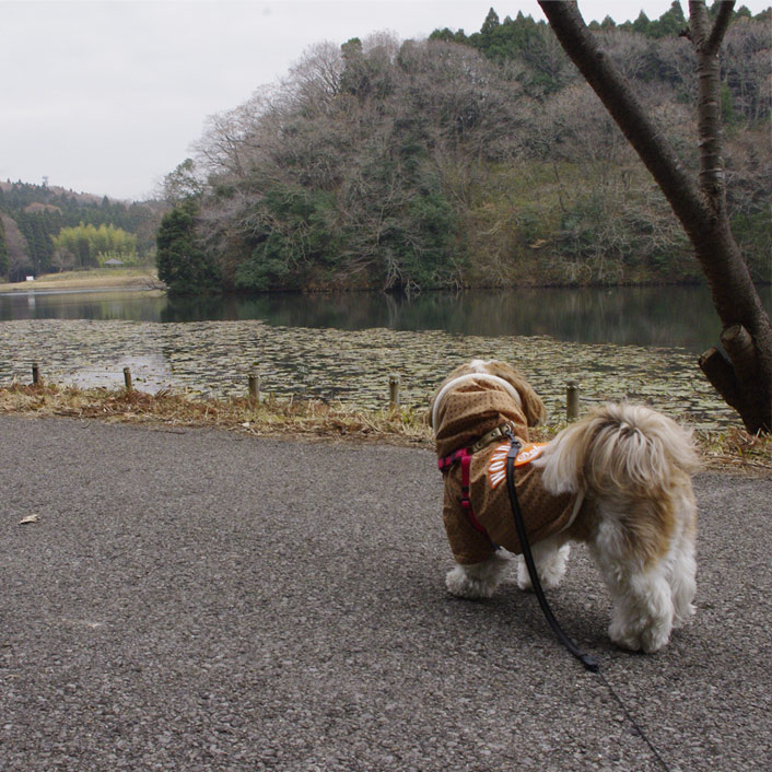 昭和の森でもふもふ散歩！