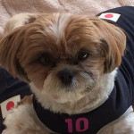 万能選手かぼす？！