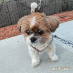 朝夕明るいです