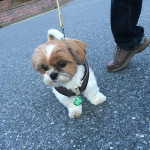 いつでも、どこにでも！