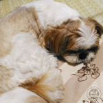 ムシムシです💦