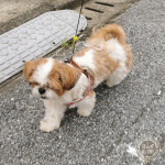 ものすごい湿度です(~_~;)