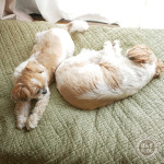 令和も仲良く。