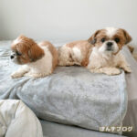 こっち向いて～