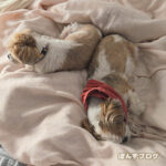 やっぱり仲良しはいいよね～