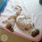 同じ寝床で・・・