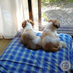 ほのぼの親子。