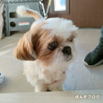 症状が改善傾向です。