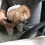 恐い夢でも、見るのかな。